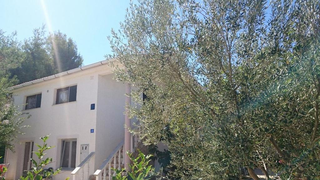 ויר Apartments Mas-Rafaj מראה חיצוני תמונה